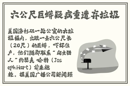 欧美双人组合的白人RAPPER